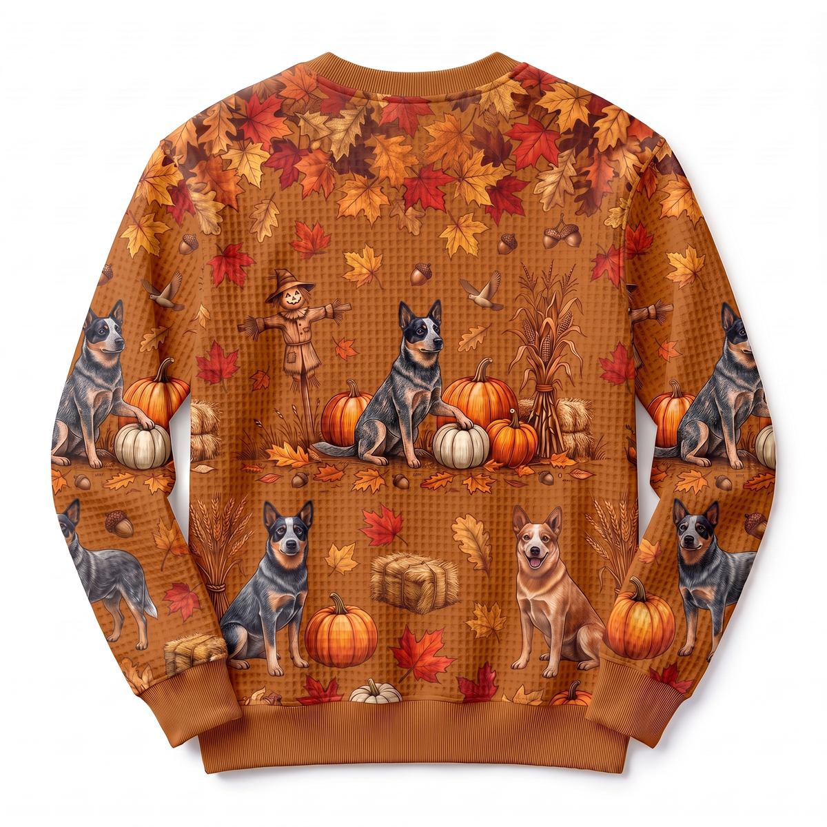 Blue Heeler Harvest Waffle-Knit Crewneck Sweatshirt – Autumn Pumpkin Patch All-Over Print, Australian Cattle Dog Fall Sweater for Women